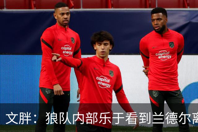 文胖：狼队内部乐于看到兰德尔离开 华子觉得这对麦丹&里德是好事